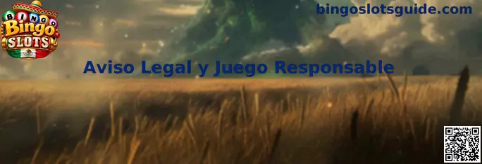 Aviso legal y juego responsable de Bingo Slots