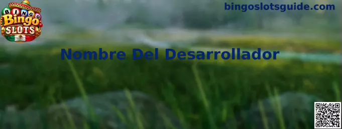 Verificación de Nombre Del Desarrollador en Bingo Slots