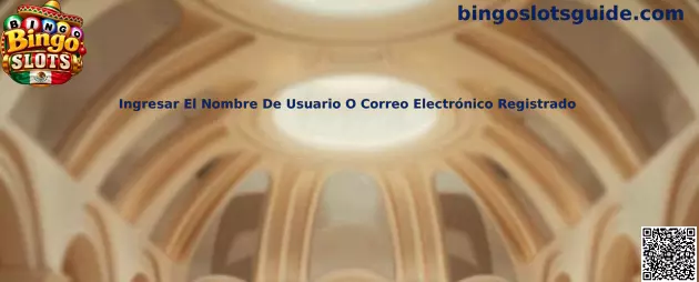 Ingresar El Nombre De Usuario O Correo Electrónico Registrado en Bingo Slots