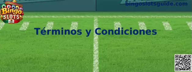 Términos y condiciones de Bingo Slots